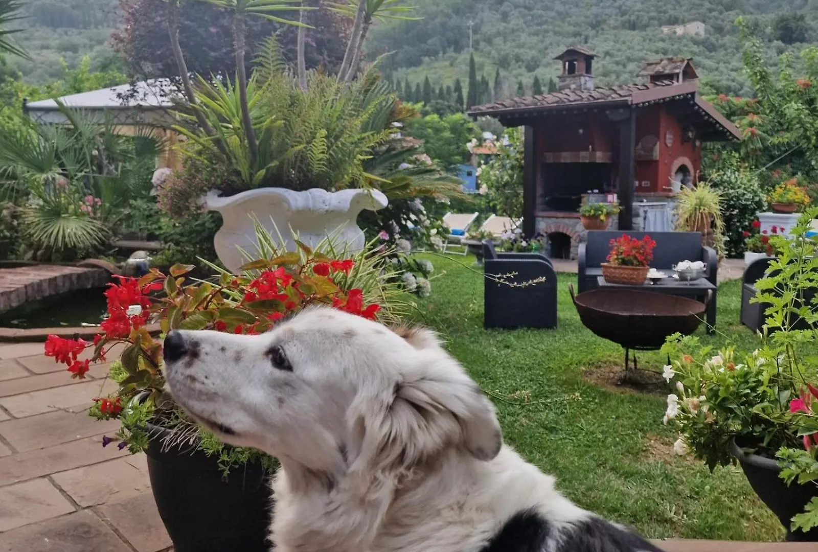 Jasmine Cottage Luni Italien