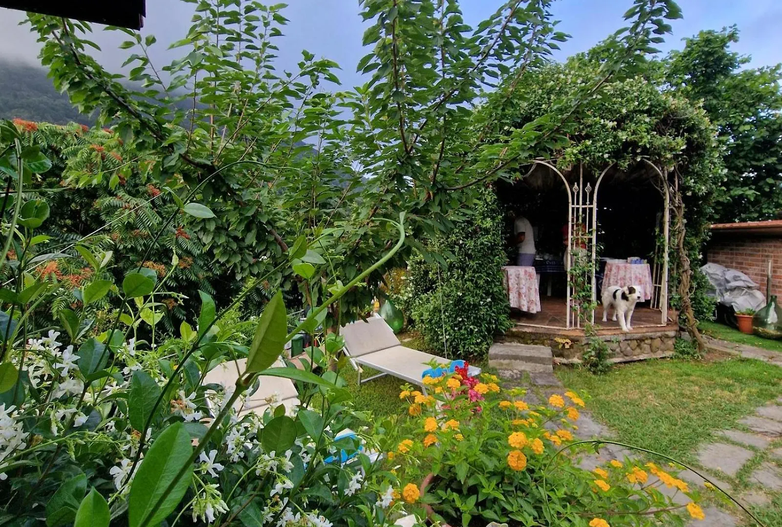Jasmine Cottage Luni 0*,  Italien